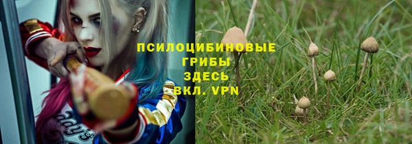 прущая мука Лиски