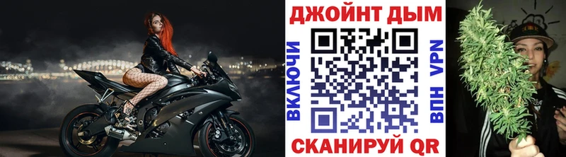 Конопля SATIVA & INDICA магазин Нахабино